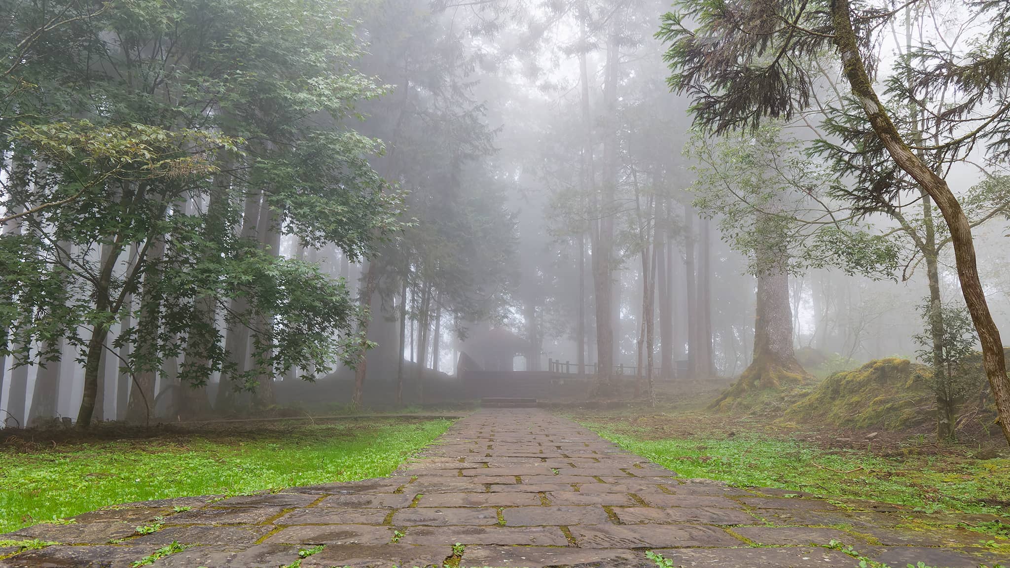 05 - Alishan (72).jpg